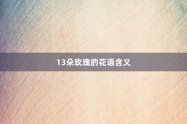 13朵玫瑰的花语含义