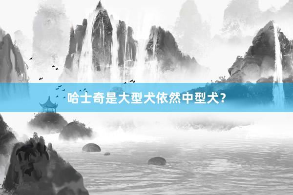 哈士奇是大型犬依然中型犬?