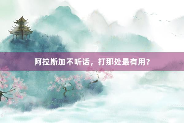阿拉斯加不听话，打那处最有用？